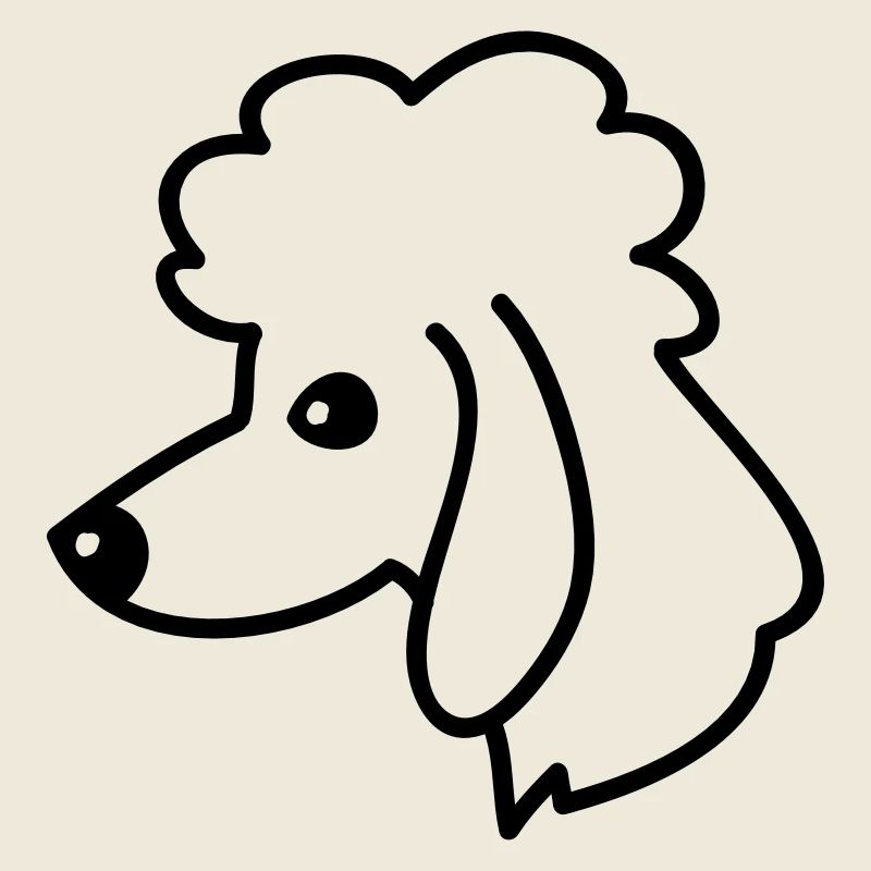 Portrait de caniche