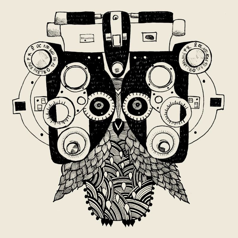 Phoropter owl on the eye test