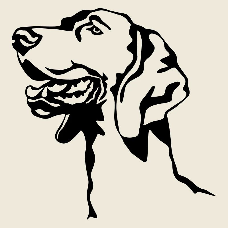 Weimaraner Kopf