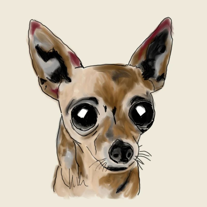 Chihuahua