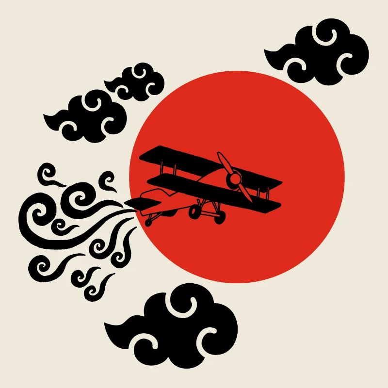 Avion noir et soleil rouge