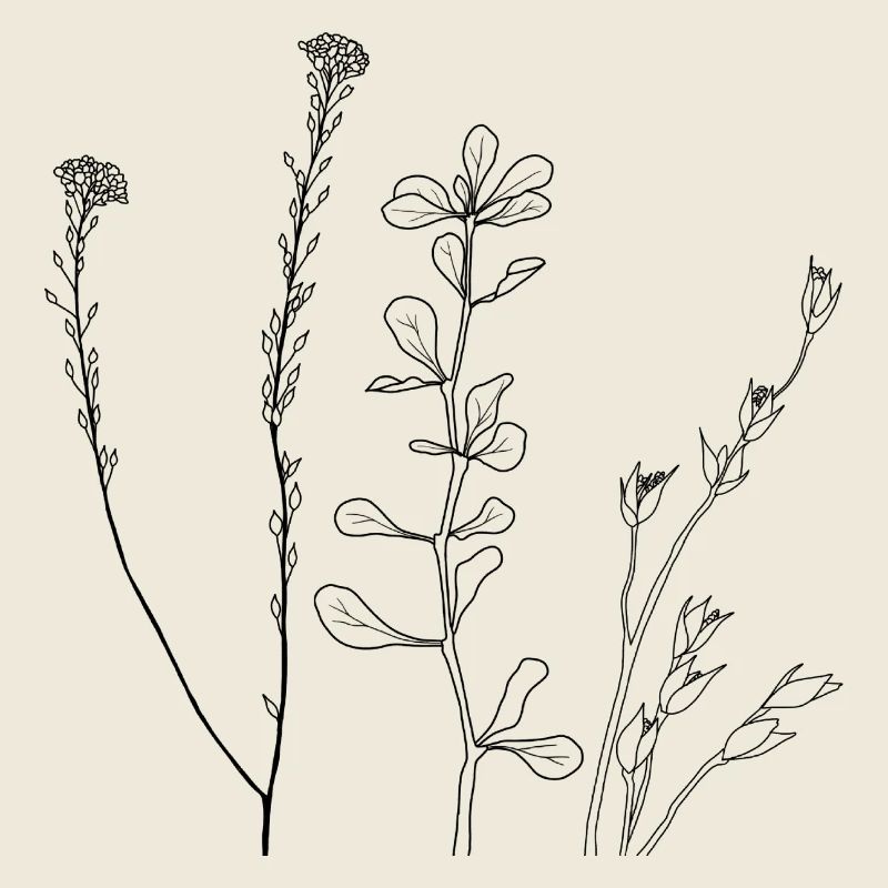 Art au trait floral