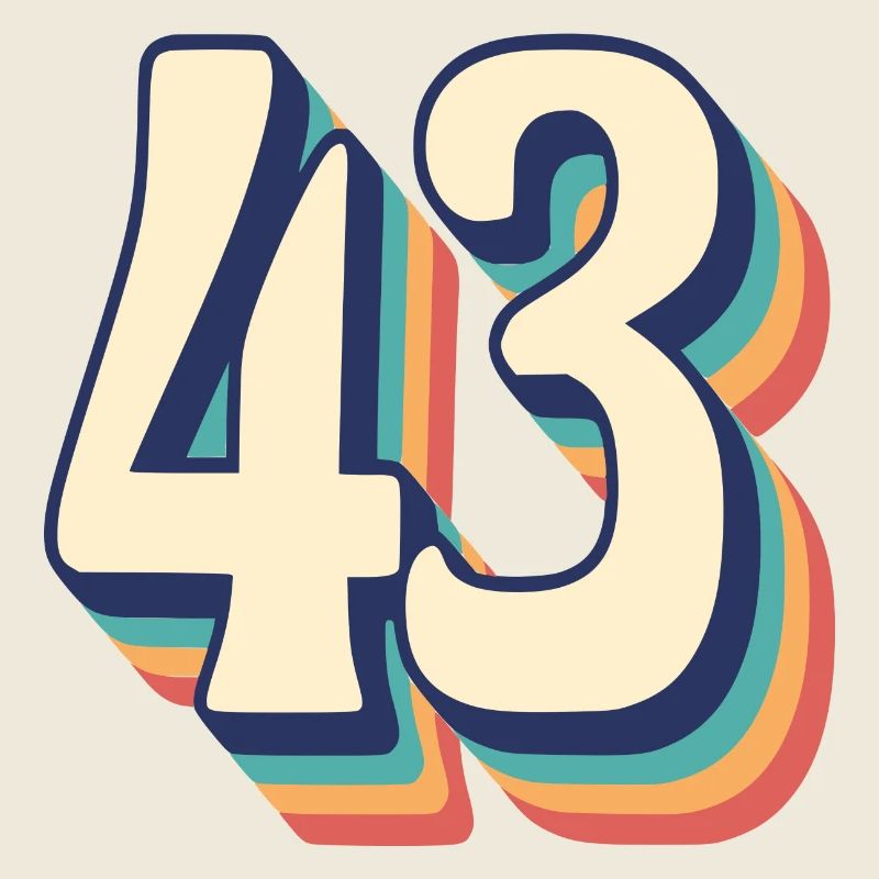 Vintage Retro T-Shirt Nummer 43 Dreiundvierzig