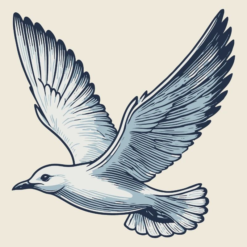 Mouette