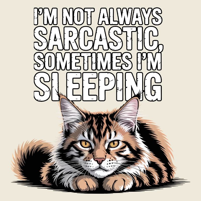 Sommeil de chat sarcastique