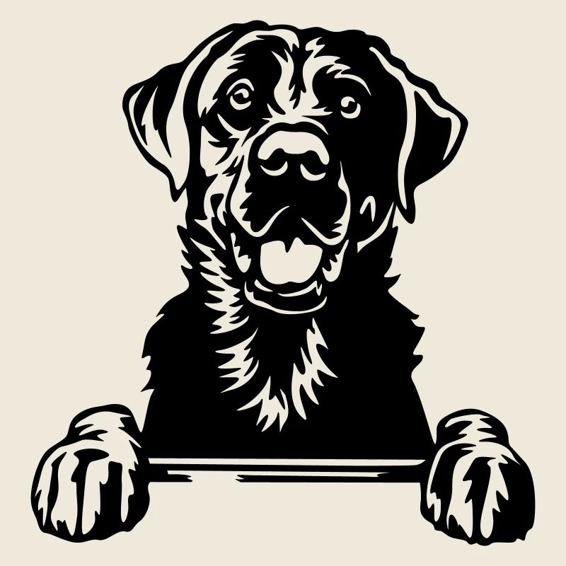 Labrador Head