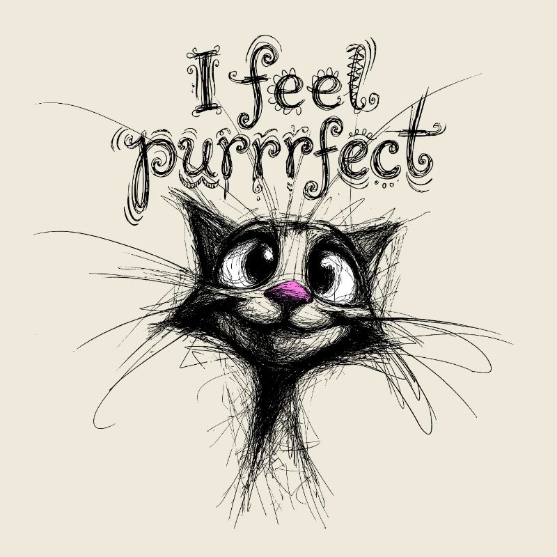 Je me sens parfaite – chat mignon