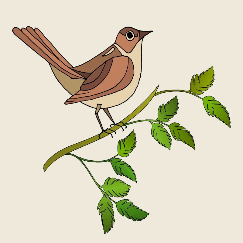 Bunter Vogel