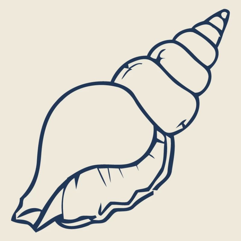 Esthétique Seashell Minimal Ocean Beach Design