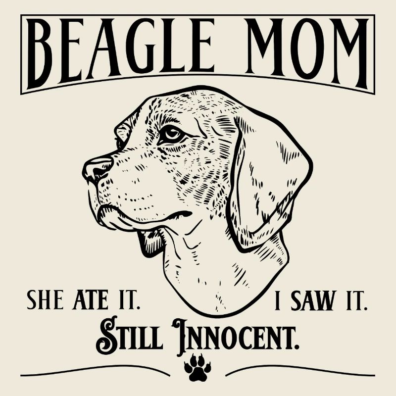 Beagle-Mama – Sie hat es gegessen. Immer noch unschuldig.