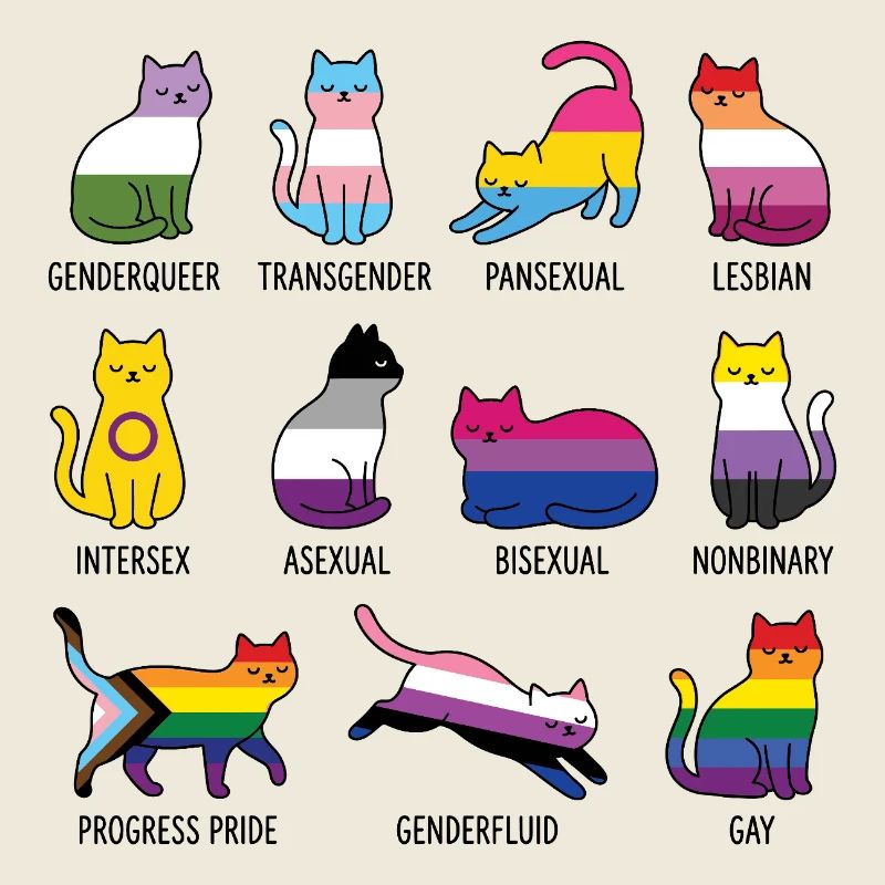Mois de la Fierté LGBTQ - Rainbow Cats