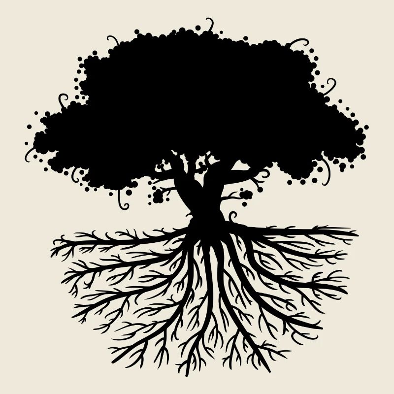 tree roots black