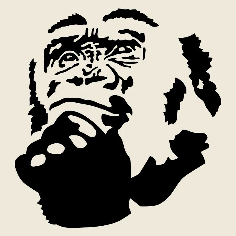 monkey