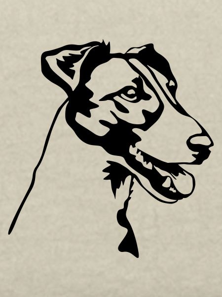 Foxterrier Kopf