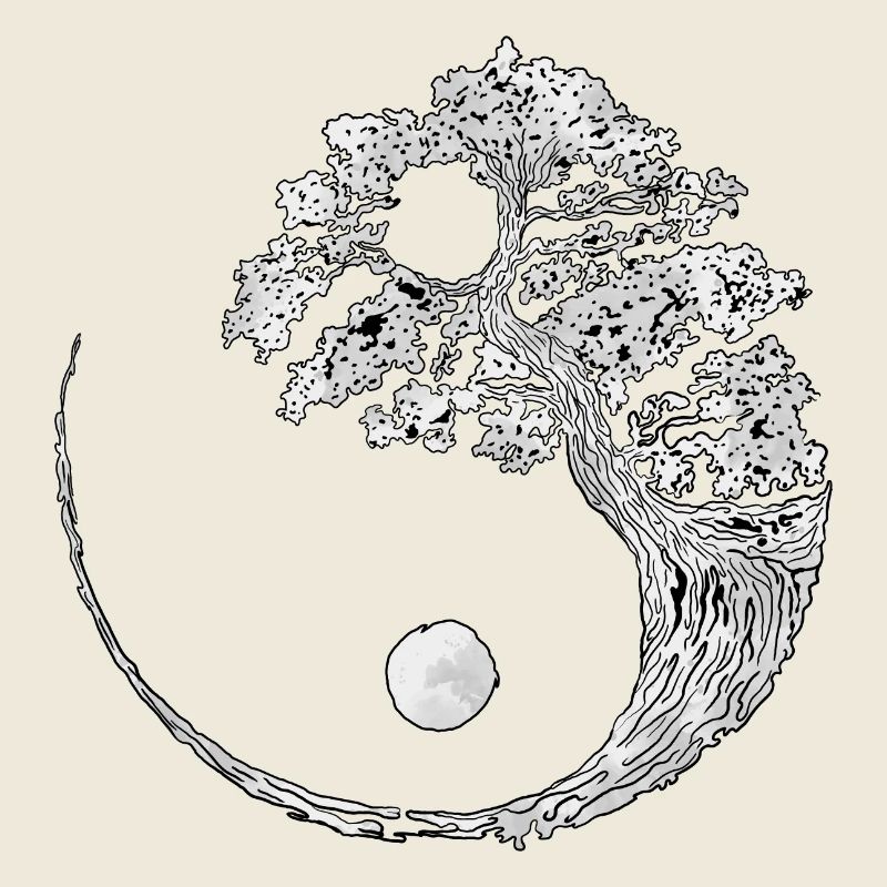 yin yang (yin yang)