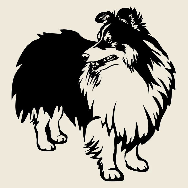 Sheltie