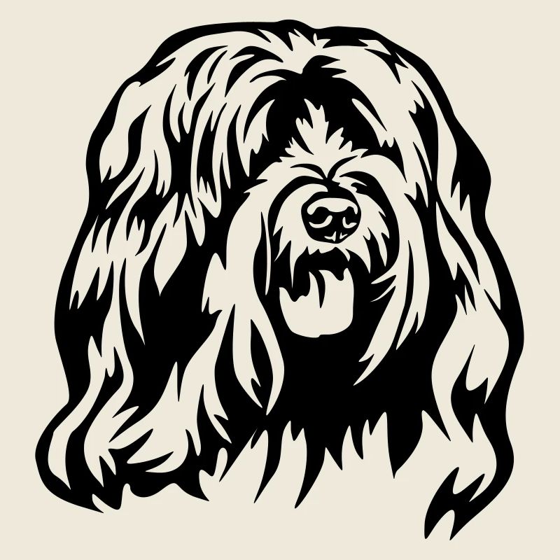 Tibet Terrier Kopf