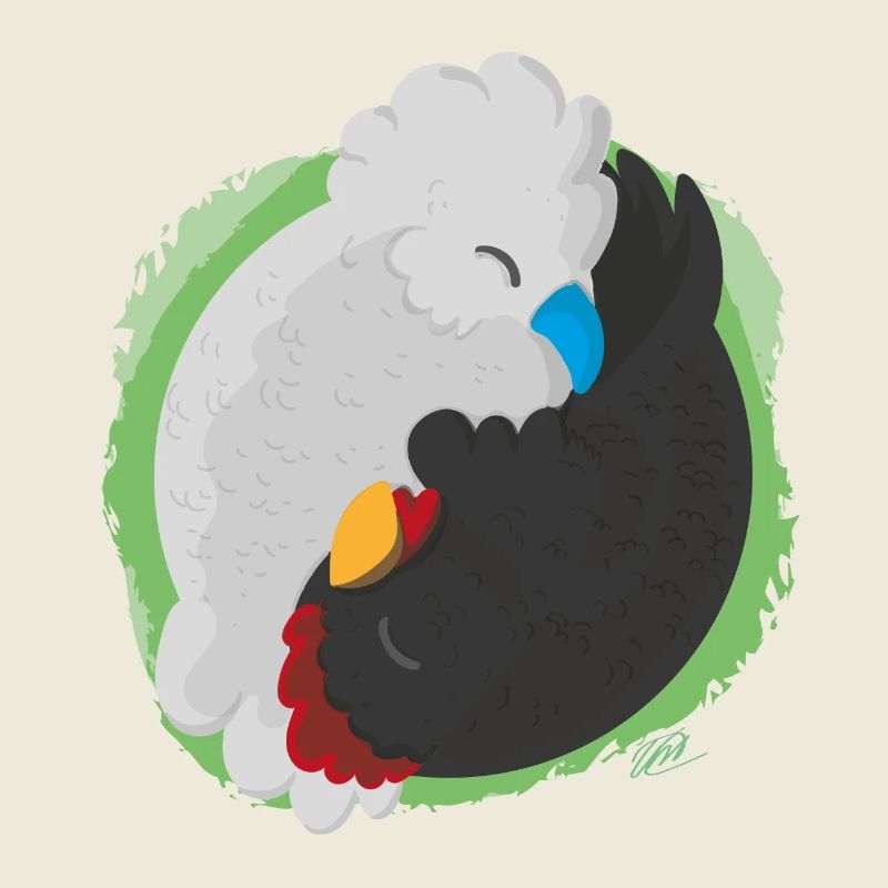 Poulets Jing Jang