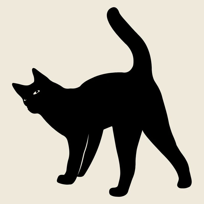 Cat cat