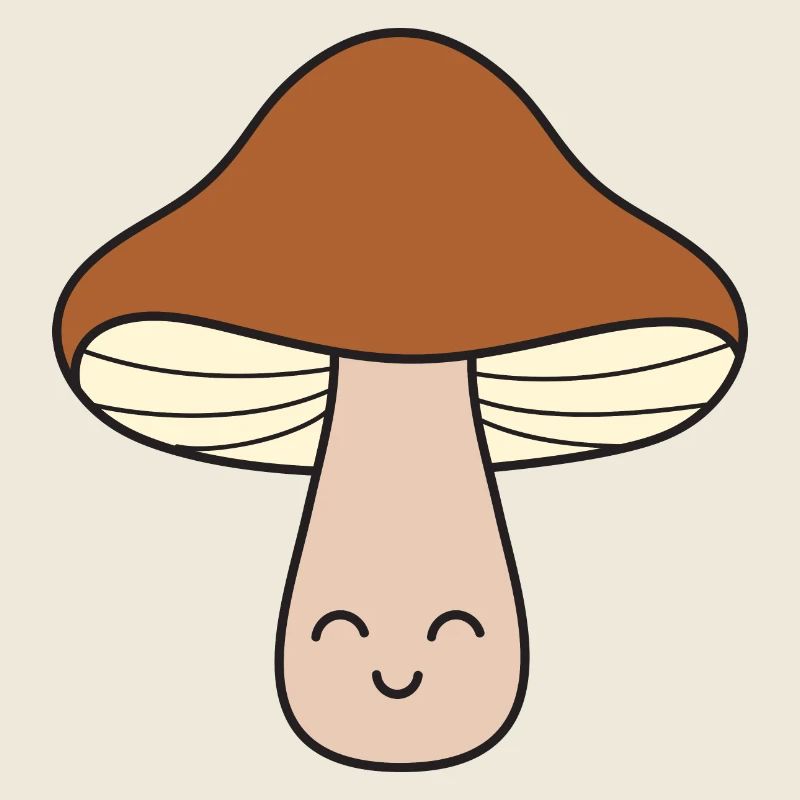 Pilz Pilze