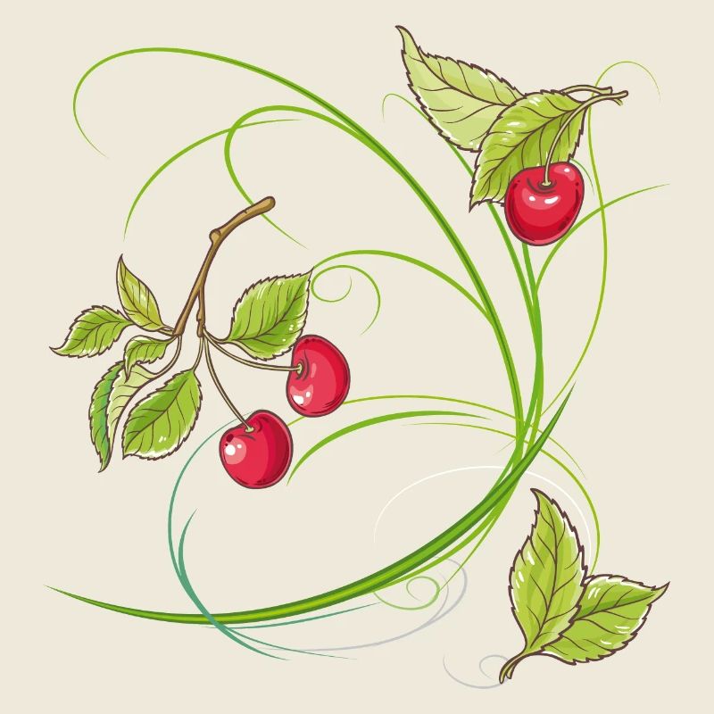 Kirschen,Obst