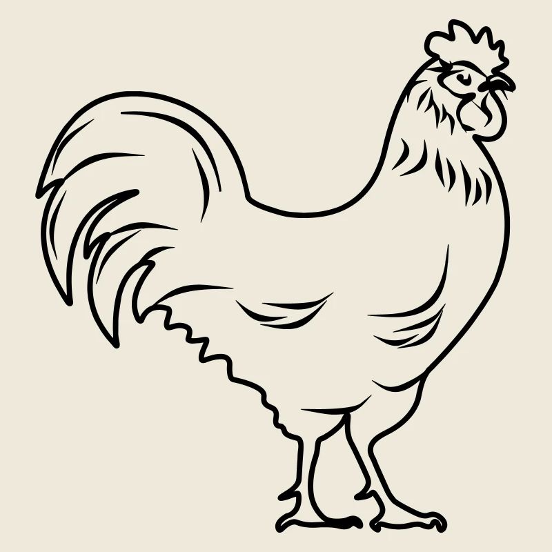 Rooster transparent