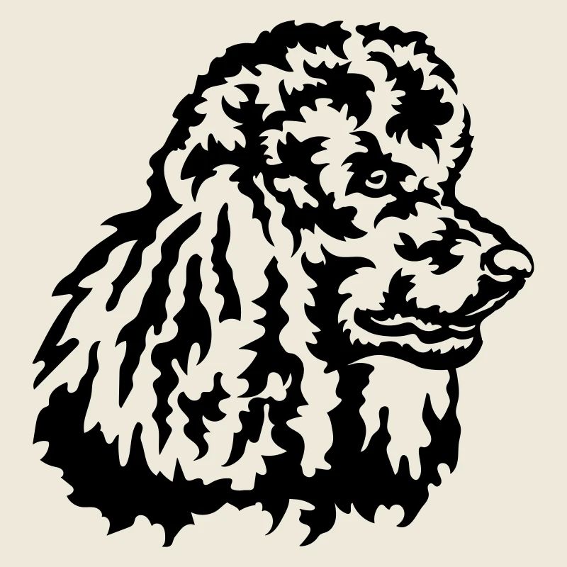 Grosse tête de caniche
