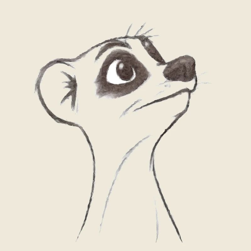 questioning meerkat