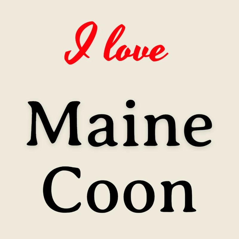 I love Maine Coon