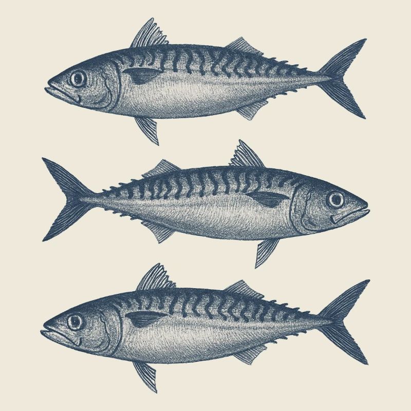 Vintage Fish Illustration Set