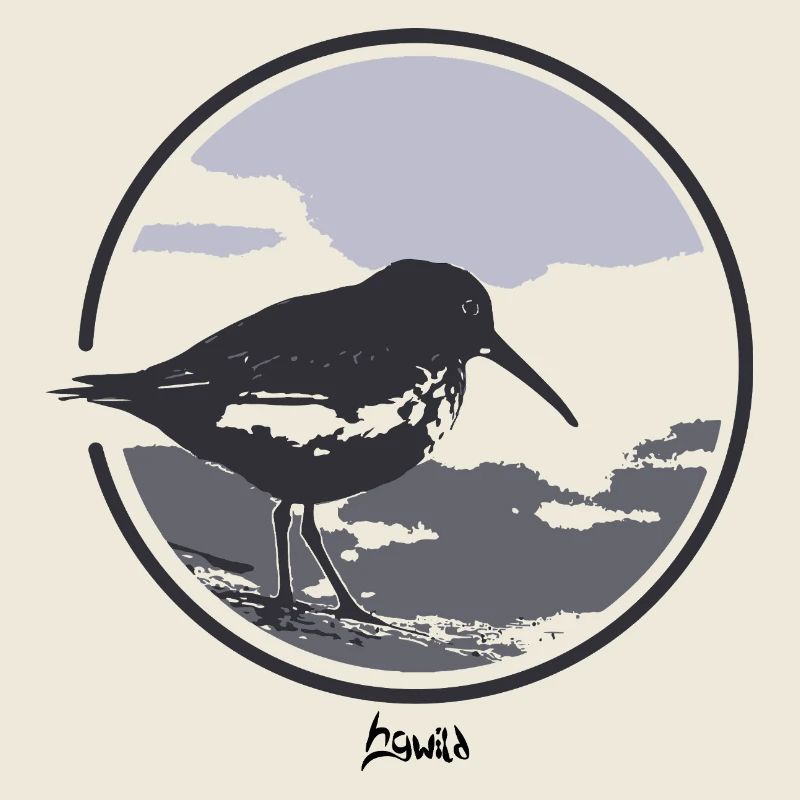HGWILD - Bécasseau variable