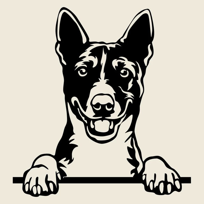 Basenji Head