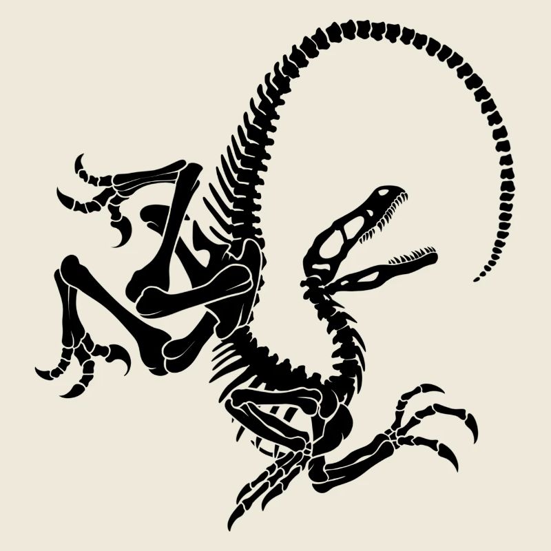 Squelette de raptor