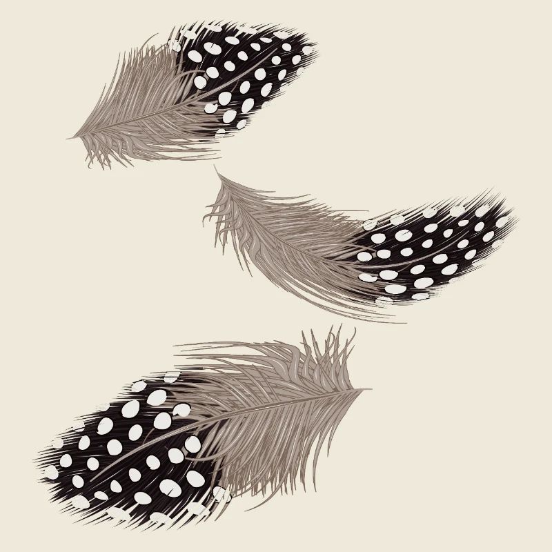 Drei fliegende Perlhuhn-Federn Illustration