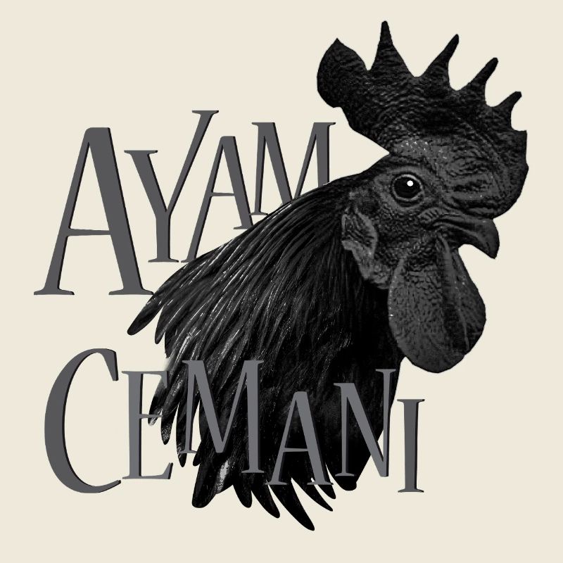 Ayam Cemani - Hühner Fans -  Hahn - Gockel 