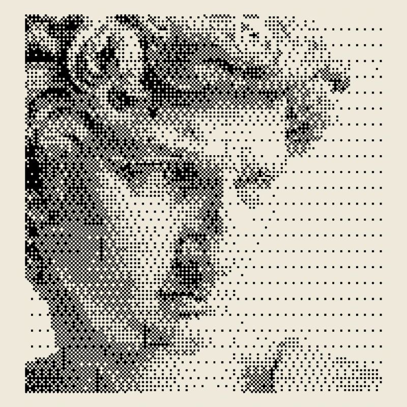 David Michelangelo face halftone portrait