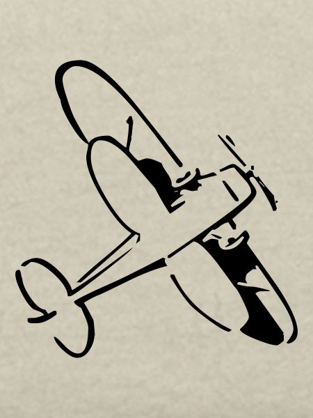 Flugzeug