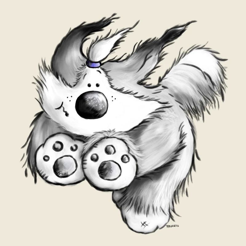 Flying Bearded Collie- Chien