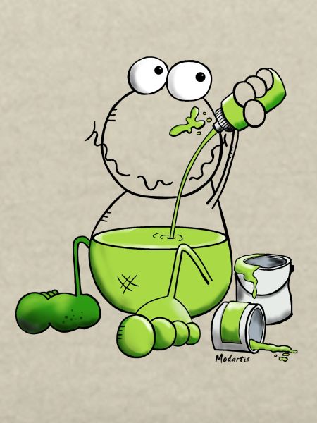 Farbfrosch - Frosch
