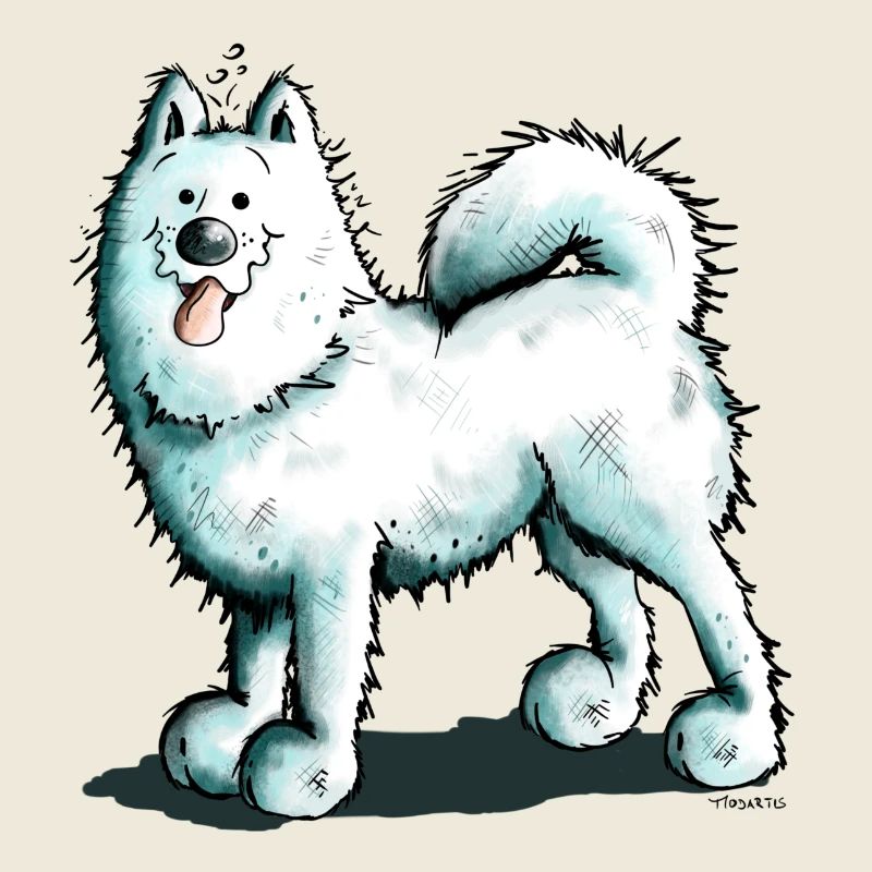 Sammy Samoyed - Samoyède