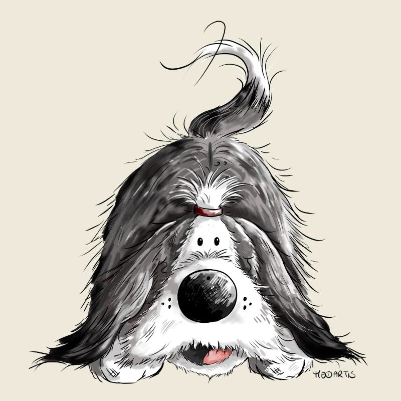 Bearded Collie