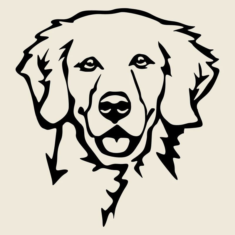 Golden Retriever Kopf