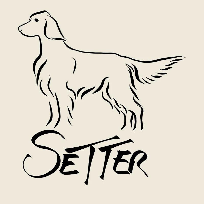 Setter stehend