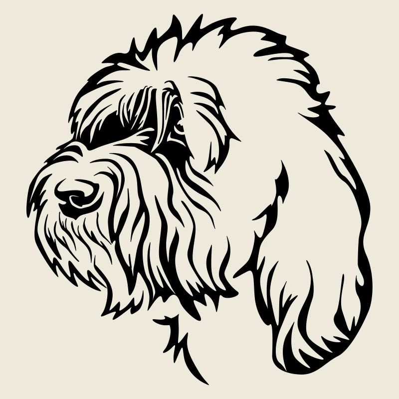 Petit Basset Griffon Vendéen Head