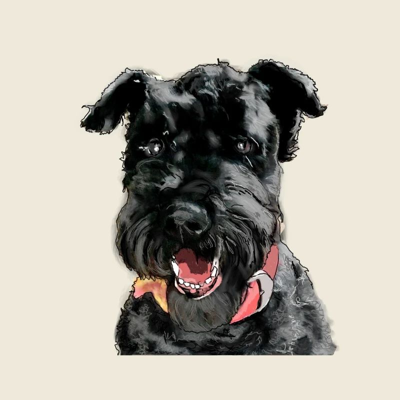 Kerry Blue Terrier