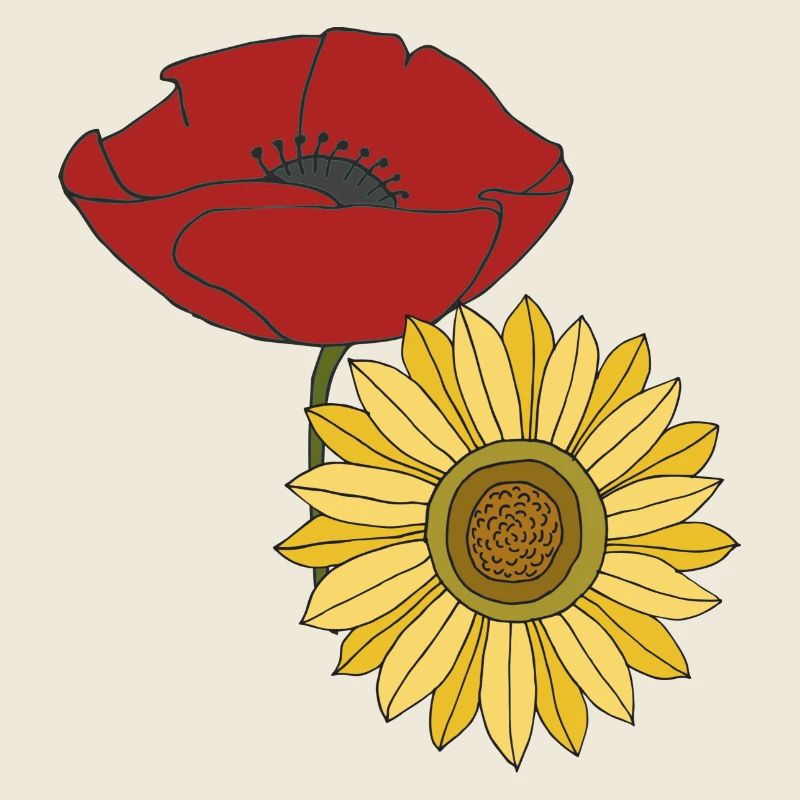 tournesol coquelicot
