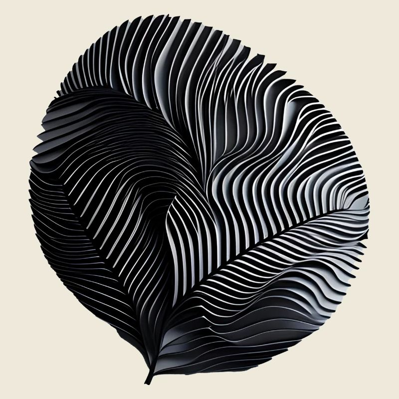 Spirale Ribée Noire et Blanche