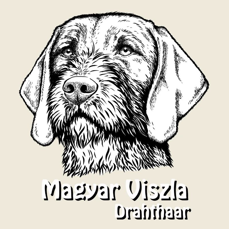 Magyar Viszla Drahthaar