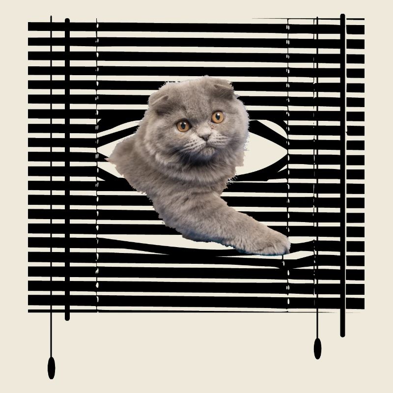 Mon chat s'évade