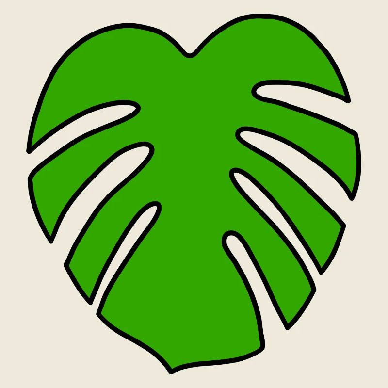 Plante Monstera